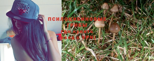 гашиш Заводоуковск