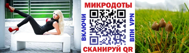 Купить закладки  Кириллов  Галлюциногенные грибы GOLDEN TEACHER 